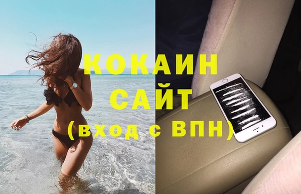 винт Алзамай
