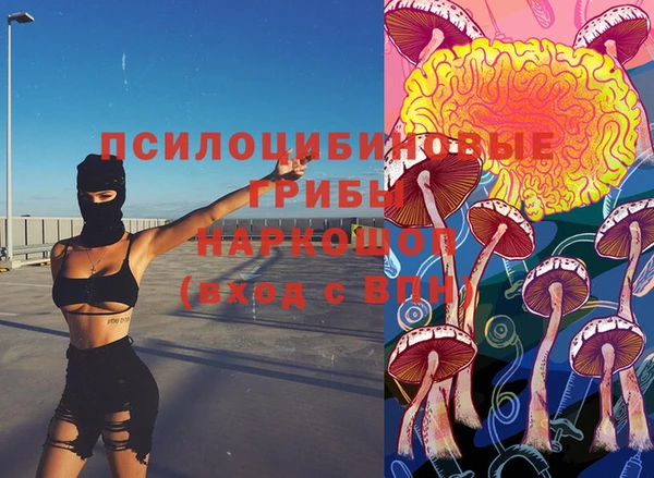 стаф Алексеевка