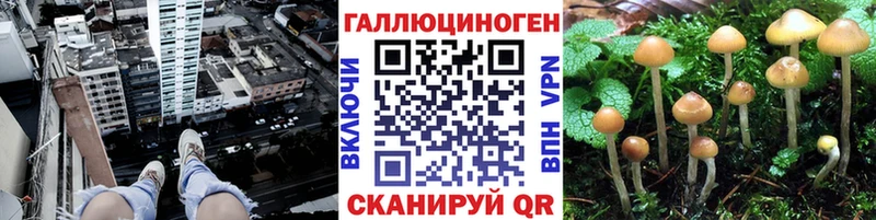 Галлюциногенные грибы мухоморы  Петушки 