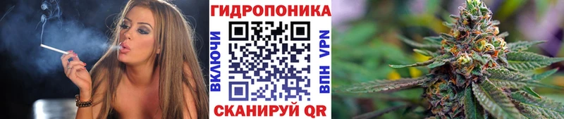МАРИХУАНА конопля  Петушки 